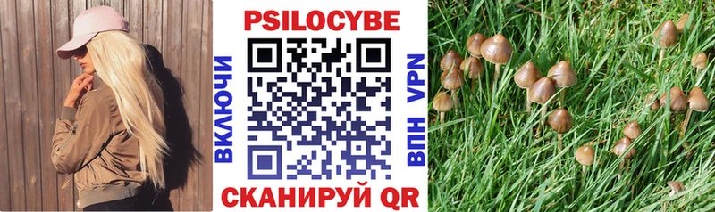 нарко площадка формула кракен зеркало Псилоцибиновые грибы GOLDEN TEACHER Карачев наркотики