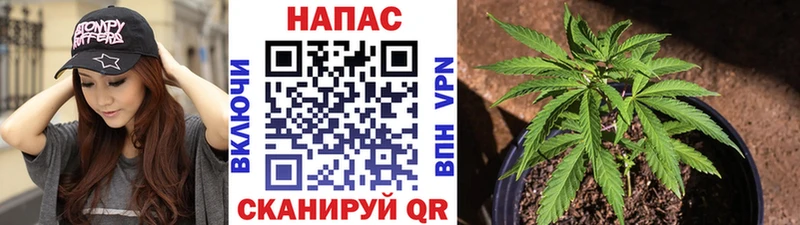 дарнет шоп ссылка на мегу ONION Каннабис OG Kush Карачев